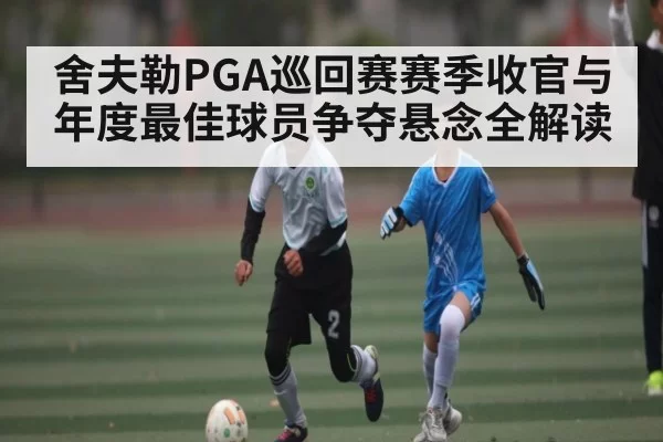舍夫勒PGA巡回赛赛季收官与年度最佳球员争夺悬念全解读